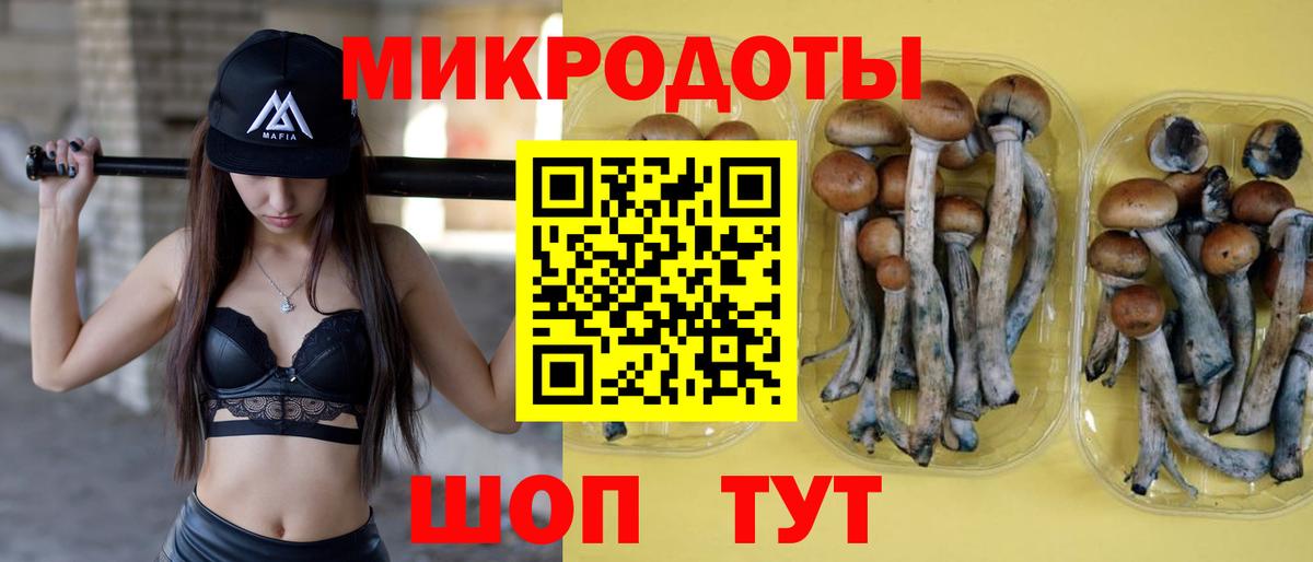 Светлоград  Псилоцибиновые грибы Magic Shrooms  купить наркотики цена  Вход с VPN 